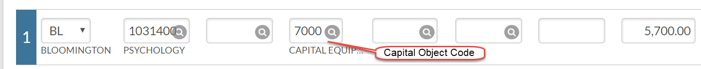capitalObjectCode.jpg
